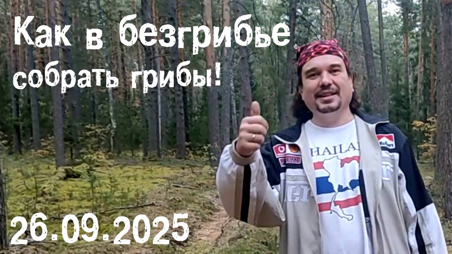 Как в безгрибье собрать грибы.  26.09.2025