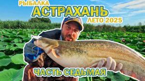 Рыбалка Астрахань лето 2025 часть седьмая