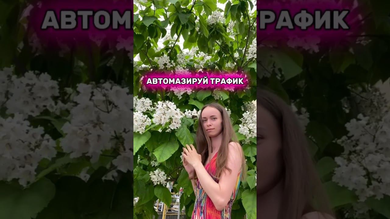 АВТОМАТИЗИРУЙ ТРАФИК смотреть онлайн