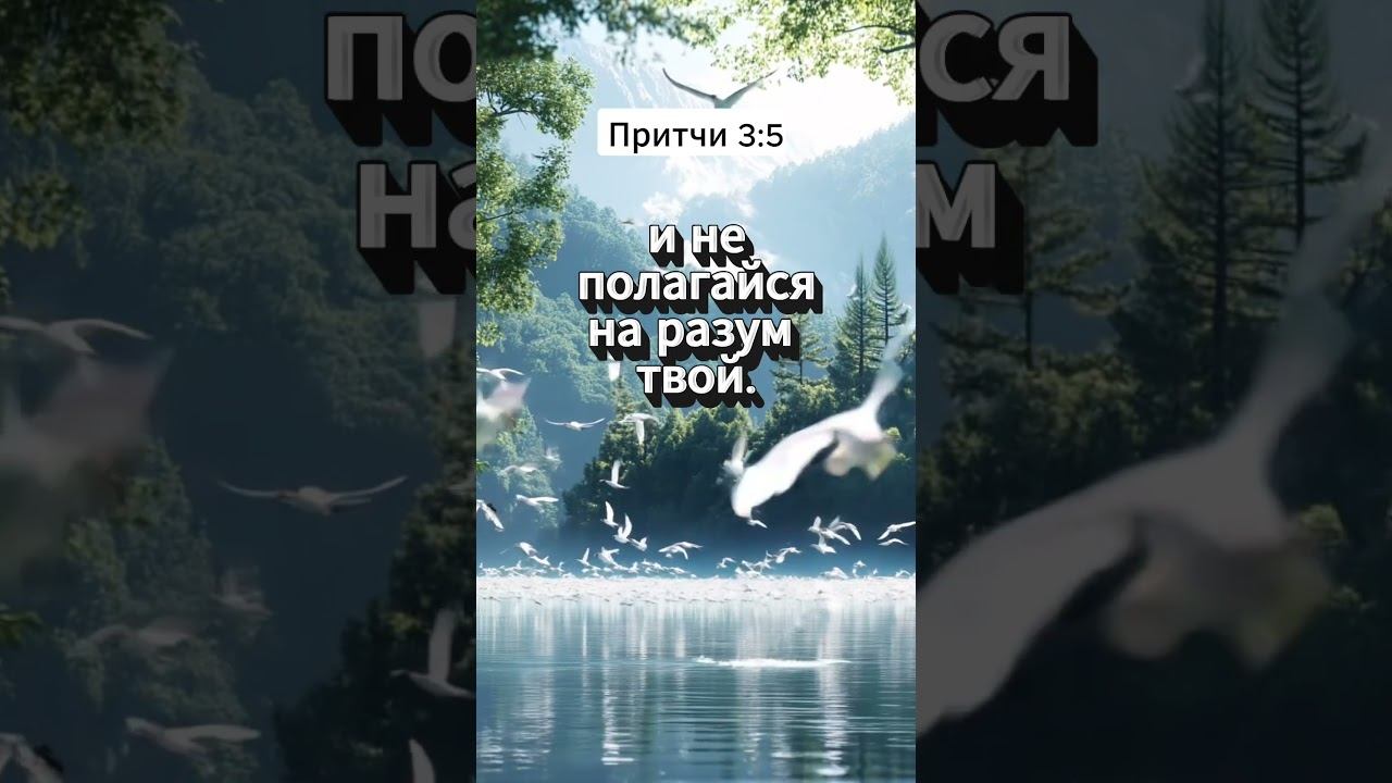 Когда разум молчит, говорит вера | Притчи 3:5 | Цитаты из Библии смотреть онлайн