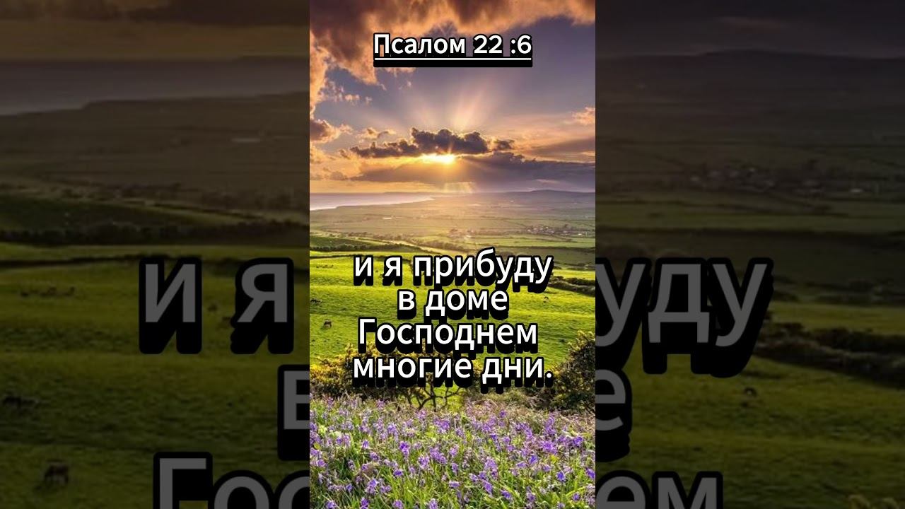 #shorts Псалом 22- 6 смотреть онлайн