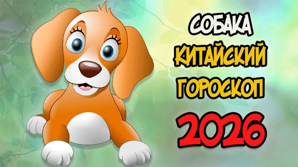КИТАЙСКИЙ ГОРОСКОП на 2026 год для СОБАКИ смотреть онлайн