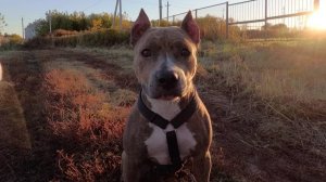 Вместе весело шагать.