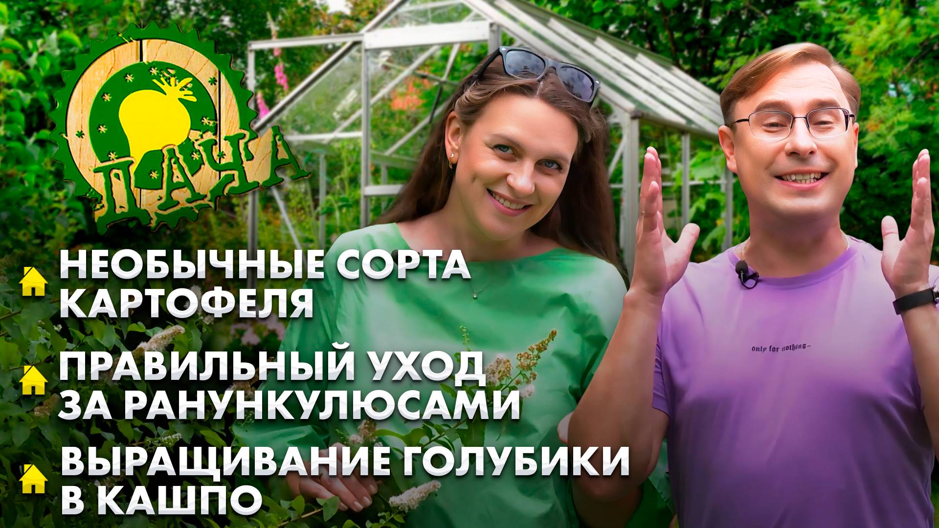 Картофель "Оптимум" | Выращивание голубики в кашпо | Лунный календарь. Дача