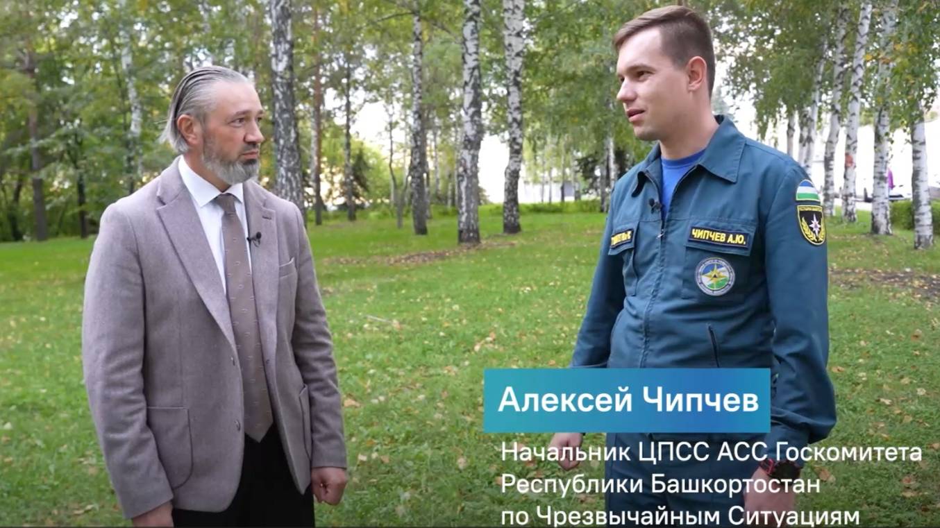 Правила поведения в лесу при встрече с диким животным смотреть онлайн