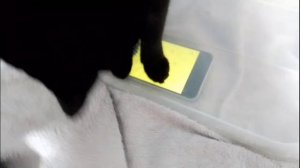 Они такие разные и всё-таки они вместе!