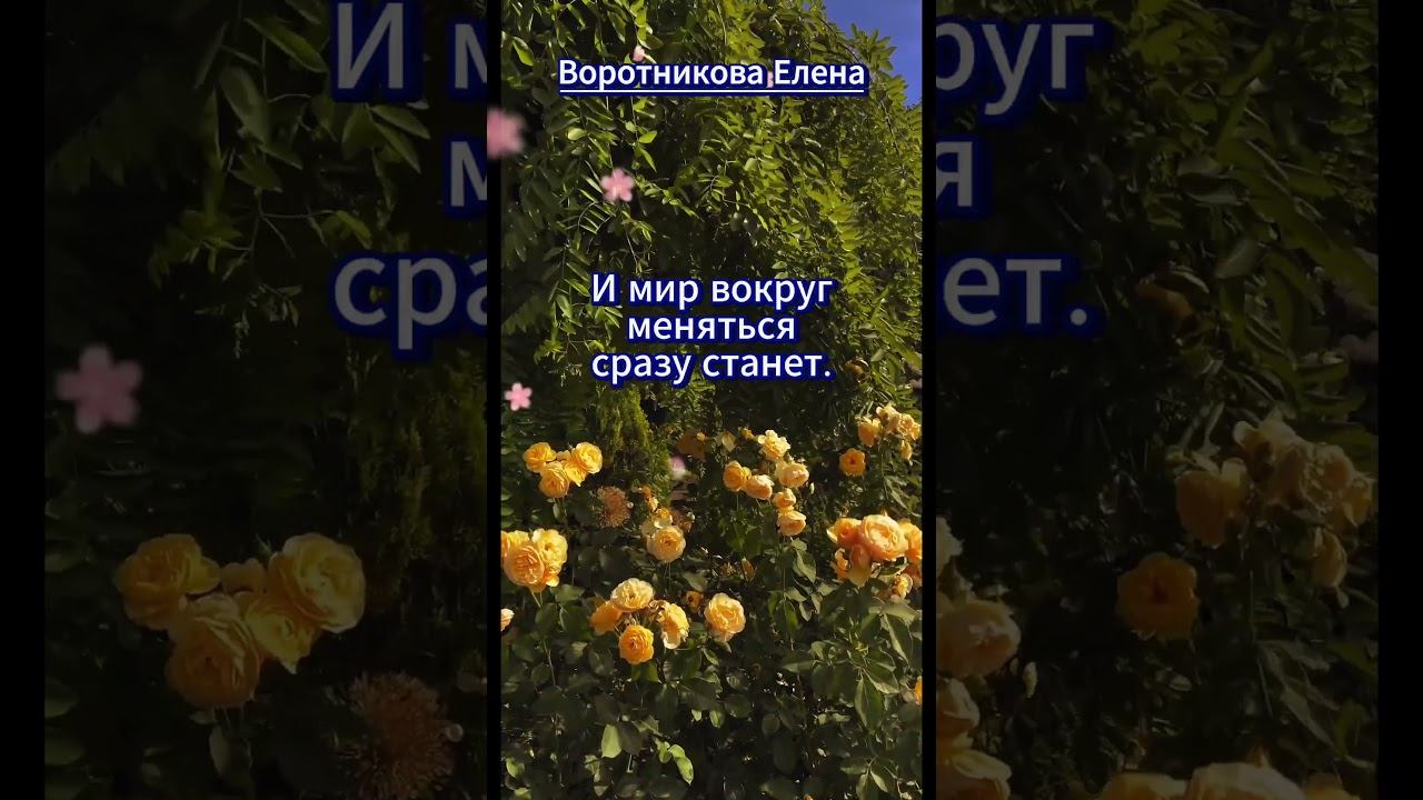 #shorts Не опускайте руки смотреть онлайн