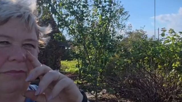 1000097293.mp4📹 "Ольга Уралочка: Дачный Ад 😠 и Королевство Вранья😤!"#обзор #уралочка #Ольга смотреть онлайн