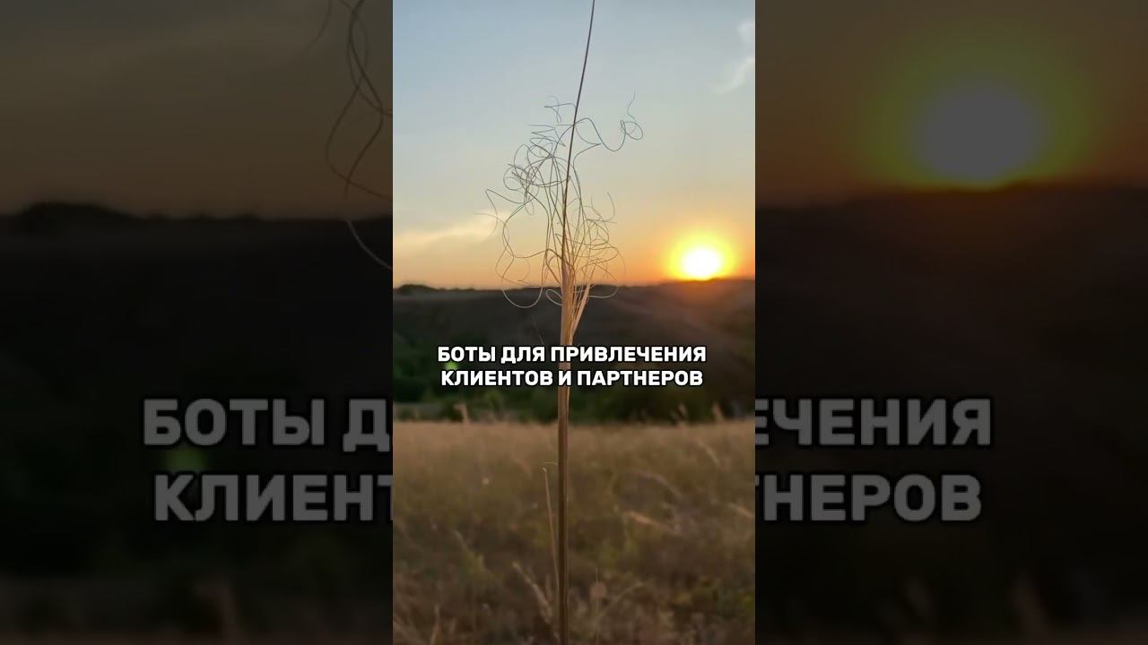 Боты для рекрутинга (читай комментарии) смотреть онлайн