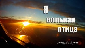 Я вольная птица