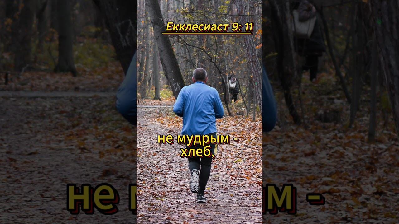 shorts Екклесиаст 9 11 смотреть онлайн