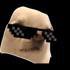 побег из садика