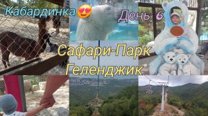 Кабардинка 2025🏖️/07.08.2025 Сафари-Парк, канатная дорога Геленджик🦁🐻❤️