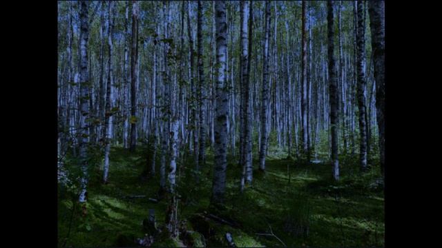 помощь с того света смотреть онлайн