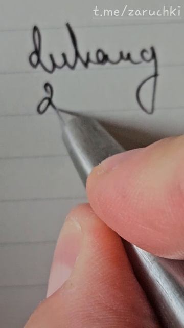 Перьевая ручка Dukang 2000