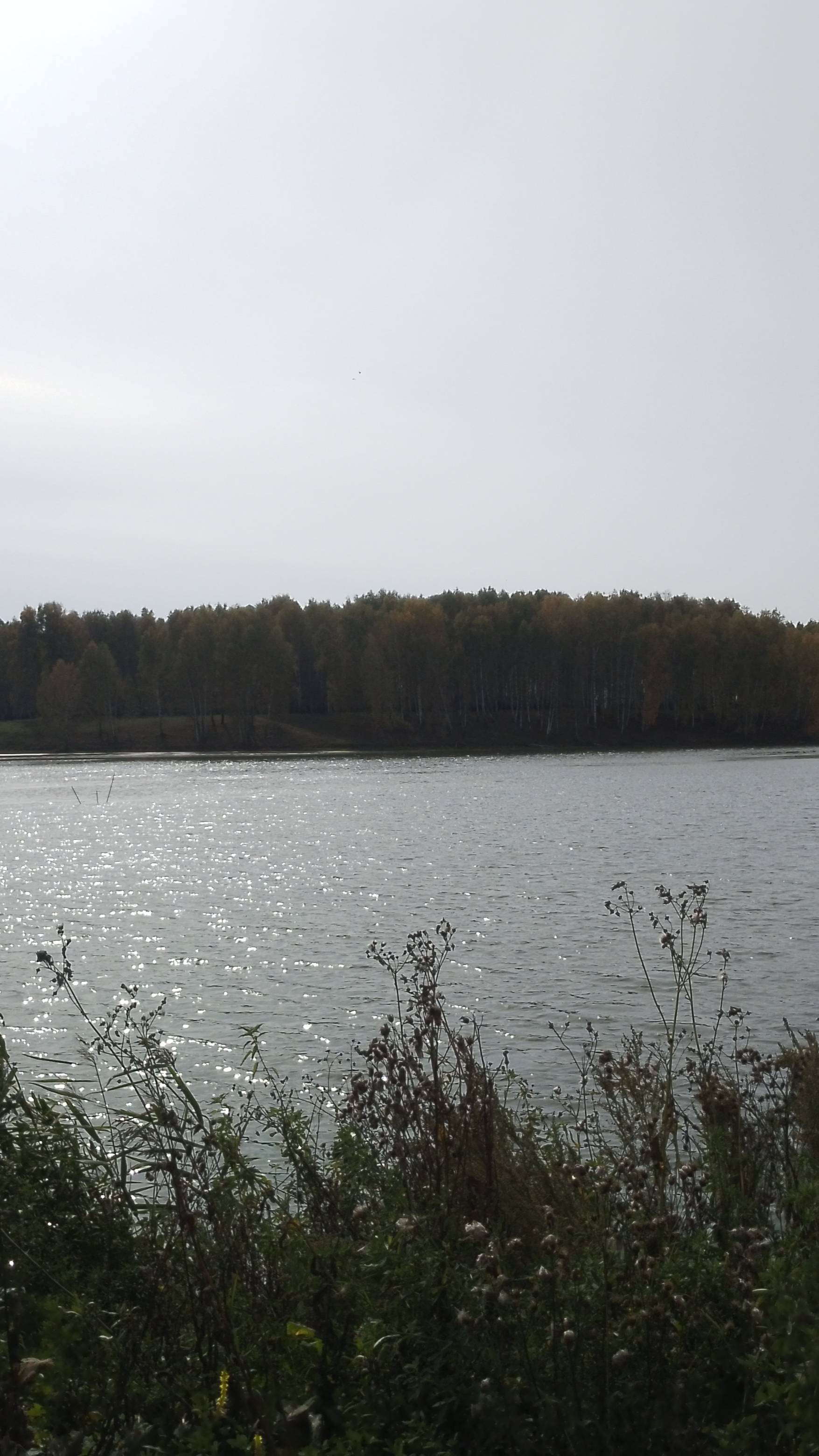 ПРОГУЛКА смотреть онлайн