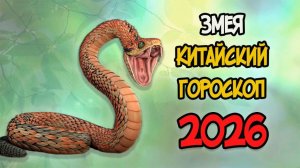 КИТАЙСКИЙ ГОРОСКОП на 2026 год для ЗМЕИ