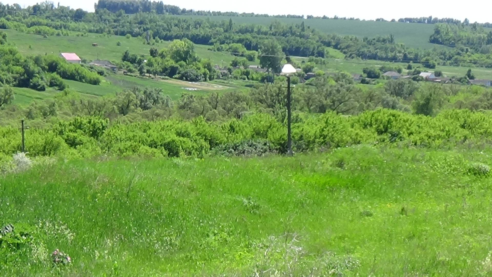 села прохоровского района белгородской области история села домановка прохоровского района смотреть онлайн