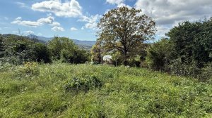 Сочи. Земля в Галицино