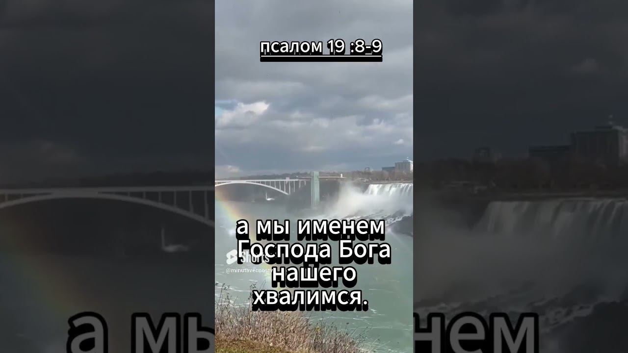 #shorts Псалом 19 8 9 #музыка #мудрость #любовь смотреть онлайн