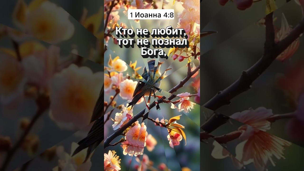 Любовь — это Его имя | 1 Иоанна 4:8 | Цитаты из Библии смотреть онлайн