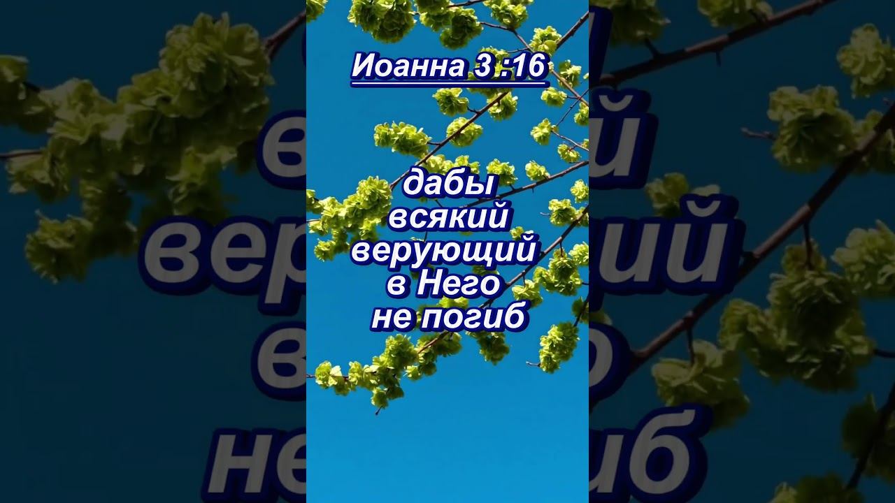 #shorts. Иоанна 3 16 смотреть онлайн