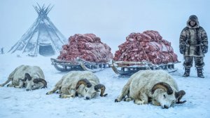 ЧТО УБИВАЕТ в Русской ТАЙГЕ?  Охотник УВИДЕЛ ЭТО в лесу и ПОСЕДЕЛ. ЖЕСТЬ из самой глуши России.