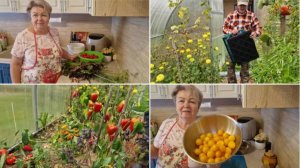 МОЙ ВЧЕРАШНИЙ ДЕНЬ, ПРОВЕЛА ЕГО НА КУХНЕ.