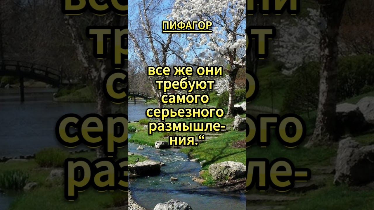 shorts „Как ни коротки слова «да» , «нет», #мудрость смотреть онлайн