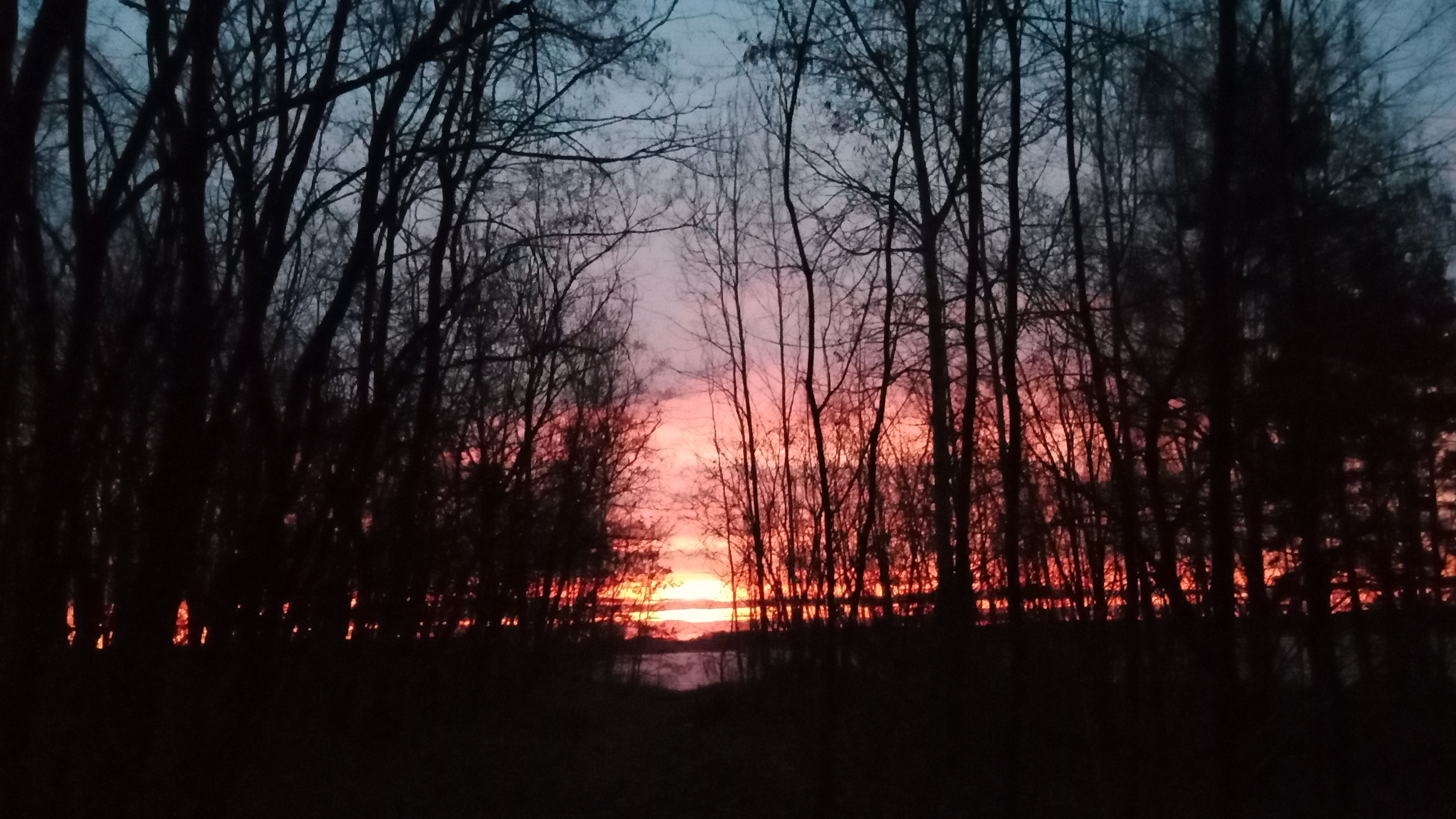 МайТай/Батальоны