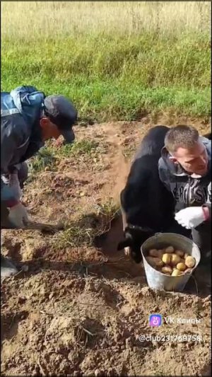 У всех щенков проданных в Белоруссию такая судьба🗿Подпишись👍