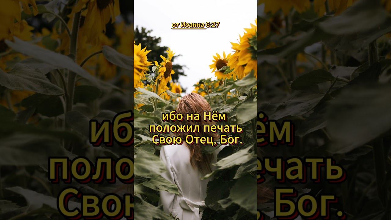 #shorts от Иоанна 6:27 смотреть онлайн