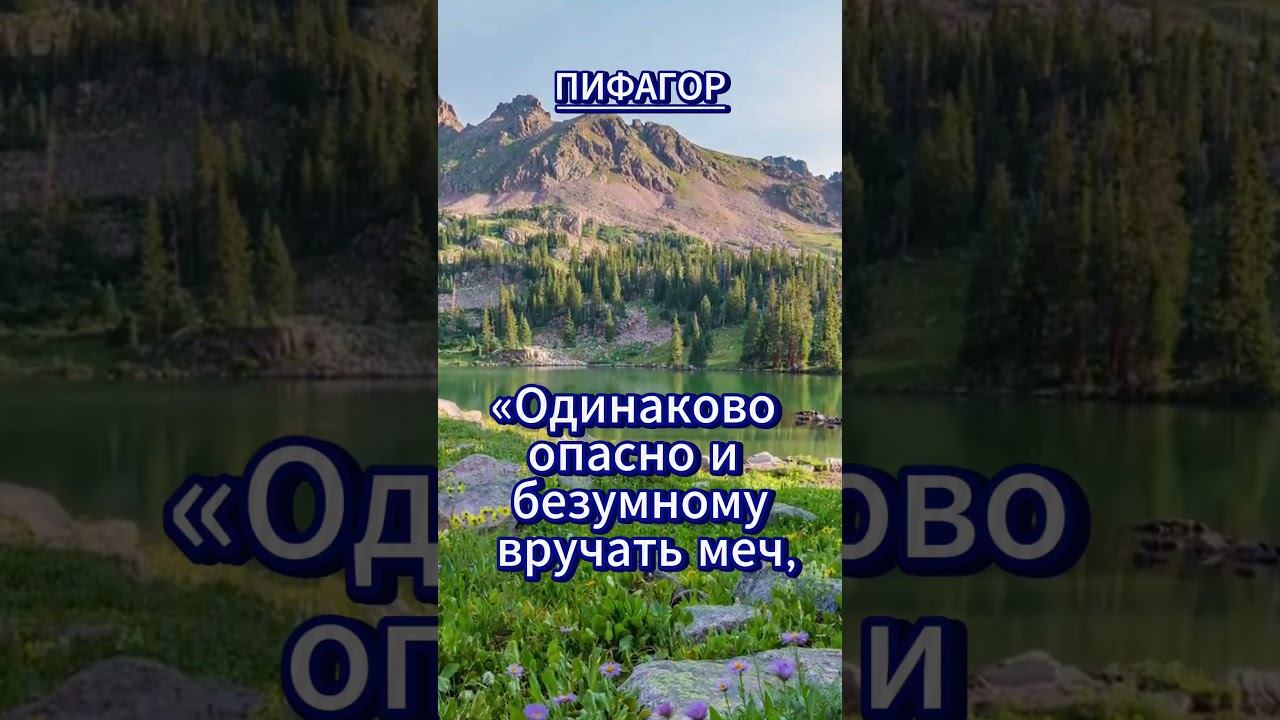 #shorts Одинаково опасно смотреть онлайн