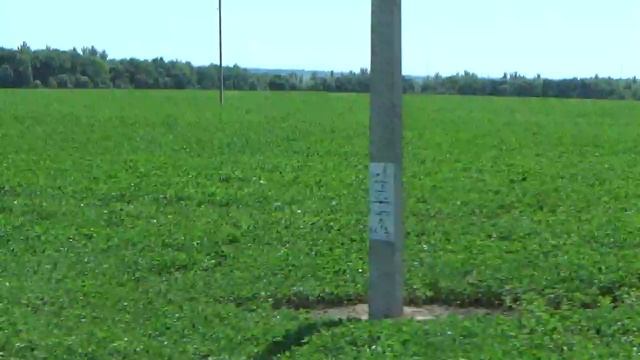село смородино белгородского района белгородская область село смородино смотреть онлайн