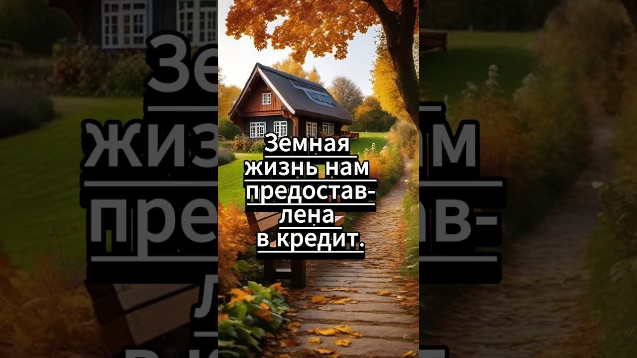 #shorts Мы в этом мире... смотреть онлайн