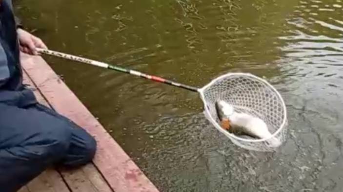 Поимки и сходы на Спорт-зоне. Клёвое место Лосиный остров. смотреть онлайн