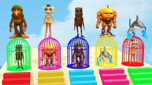 Брейнрот проходит испытания | Итальянские  мемы - в опастности| Мультики про Балерина Капучно