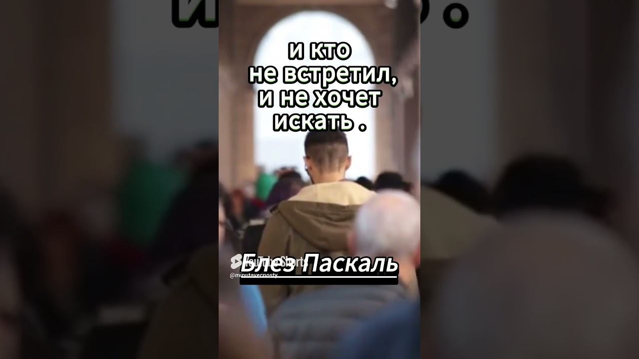 #shorts смотреть онлайн
