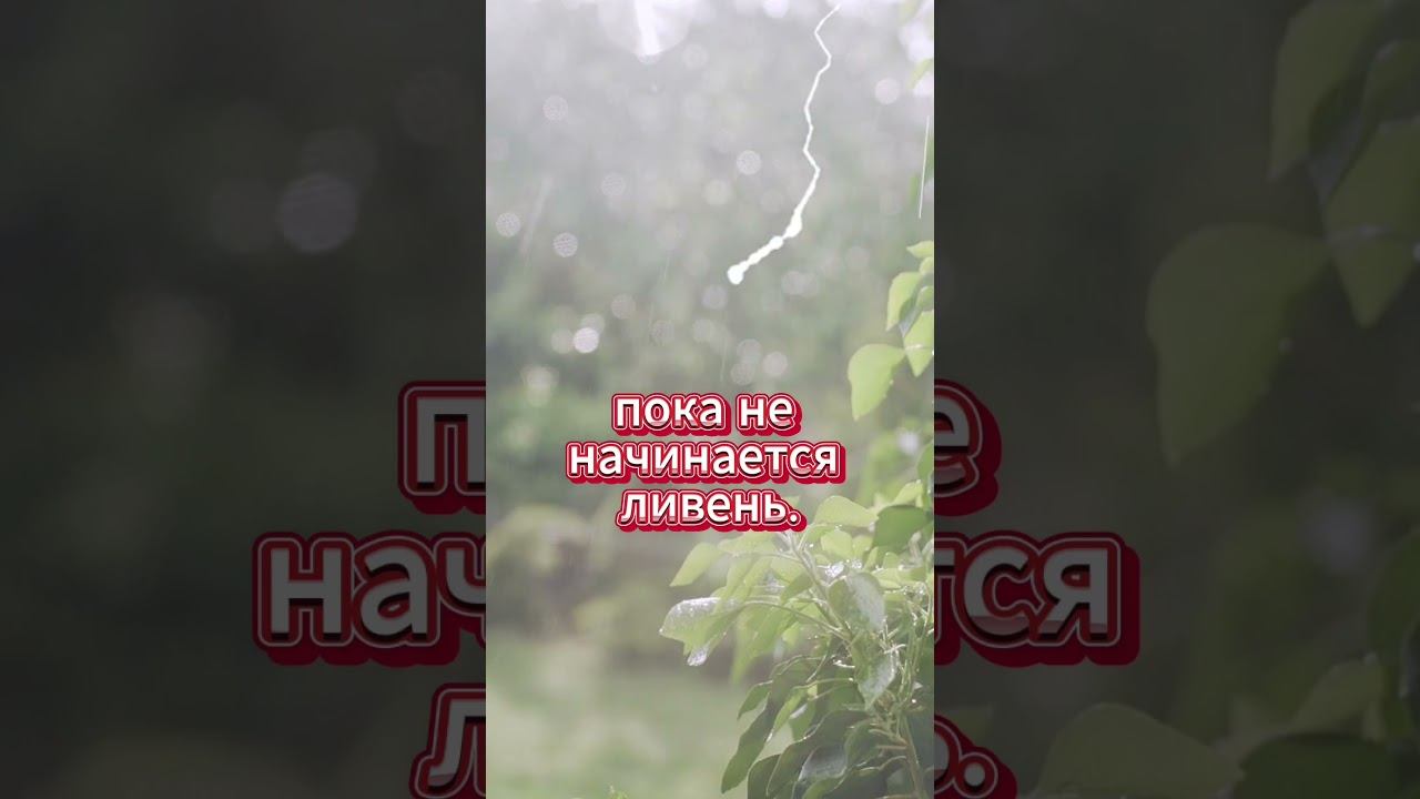 #shorts ВЕРА смотреть онлайн