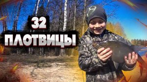 32 плотвицы