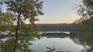 Готовлю обед// небольшая прогулка по лесу//