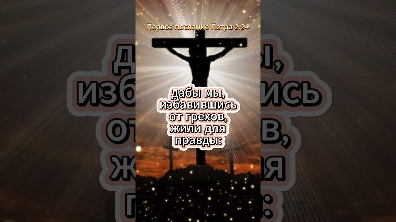 #shorts Первое послание Петра 2:24 смотреть онлайн