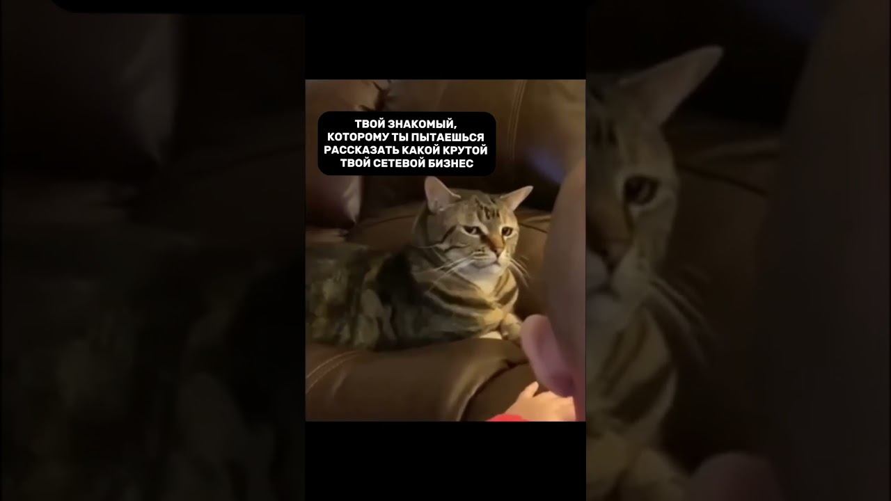 Твой знакомый, которому ты пытаешься рассказать какой крутой твой сетевой бизнес смотреть онлайн