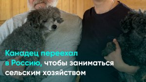 Канадец переехал в Россию, чтобы заниматься сельским хозяйством