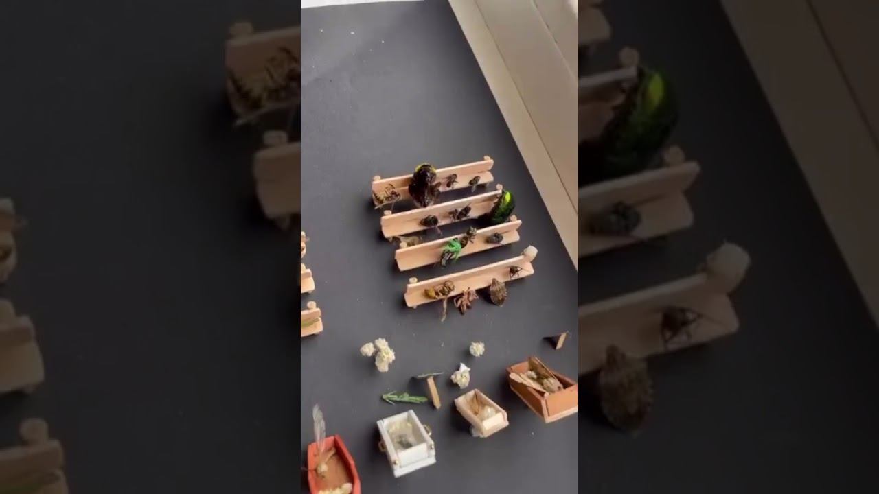 А вы какой тип? смотреть онлайн