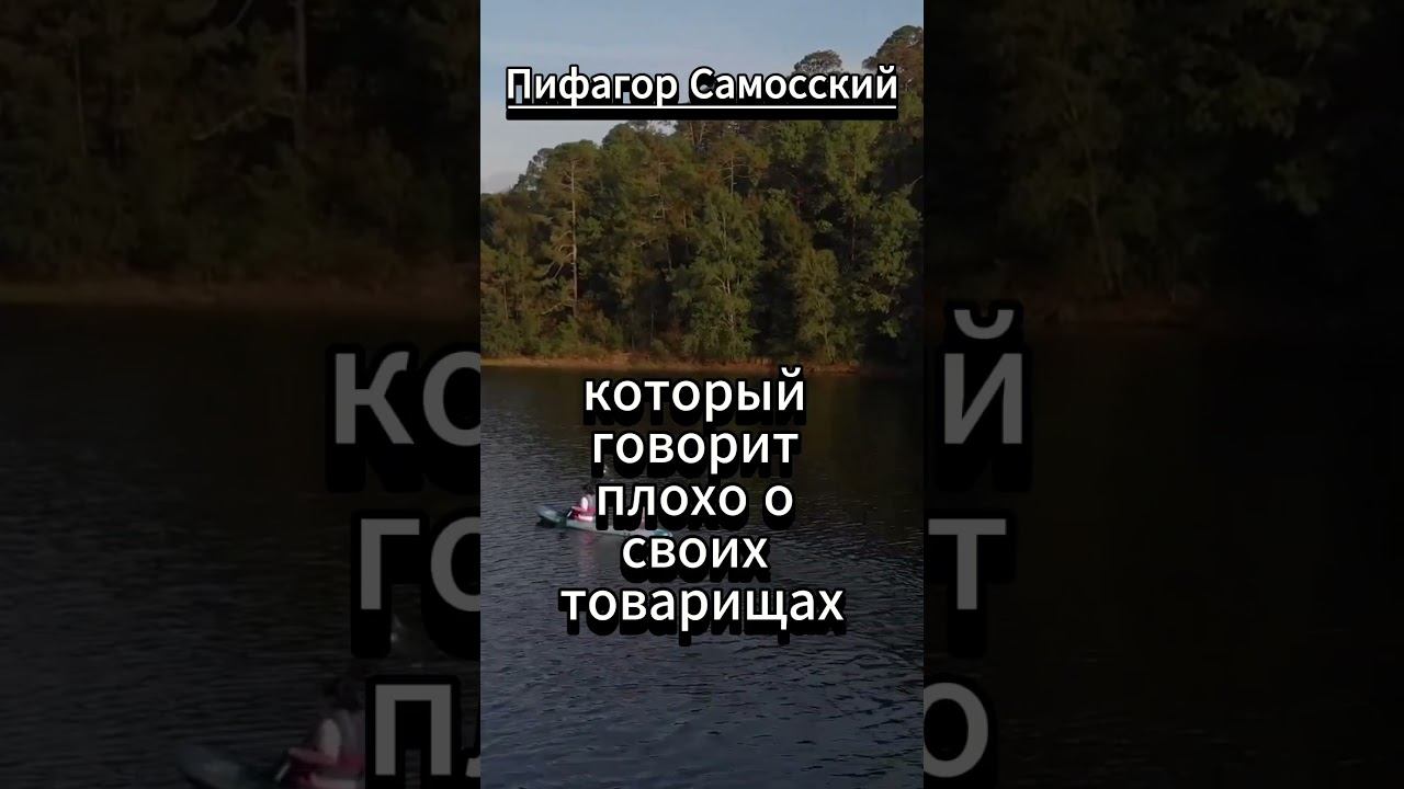#shorts Никогда не доверяй другу, смотреть онлайн