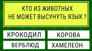 Только НАСТОЯЩИЙ ЭРУДИТ осилит этот ТЕСТ НА ЭРУДИЦИЮ  #тестнаэрудицию #тесты #эрудиция