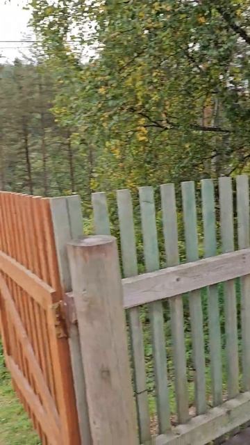 Карелия. Медвежьегорск. Место съёмок фильма Любовь и голуби смотреть онлайн