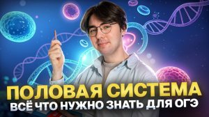 Половая система на ОГЭ по биологии | Полный разбор темы | Умскул