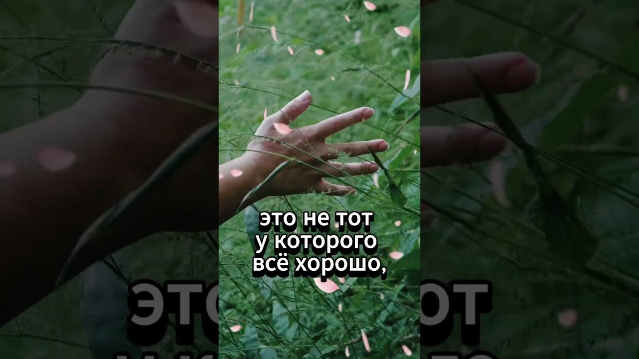 #shorts Самый сильный человек смотреть онлайн